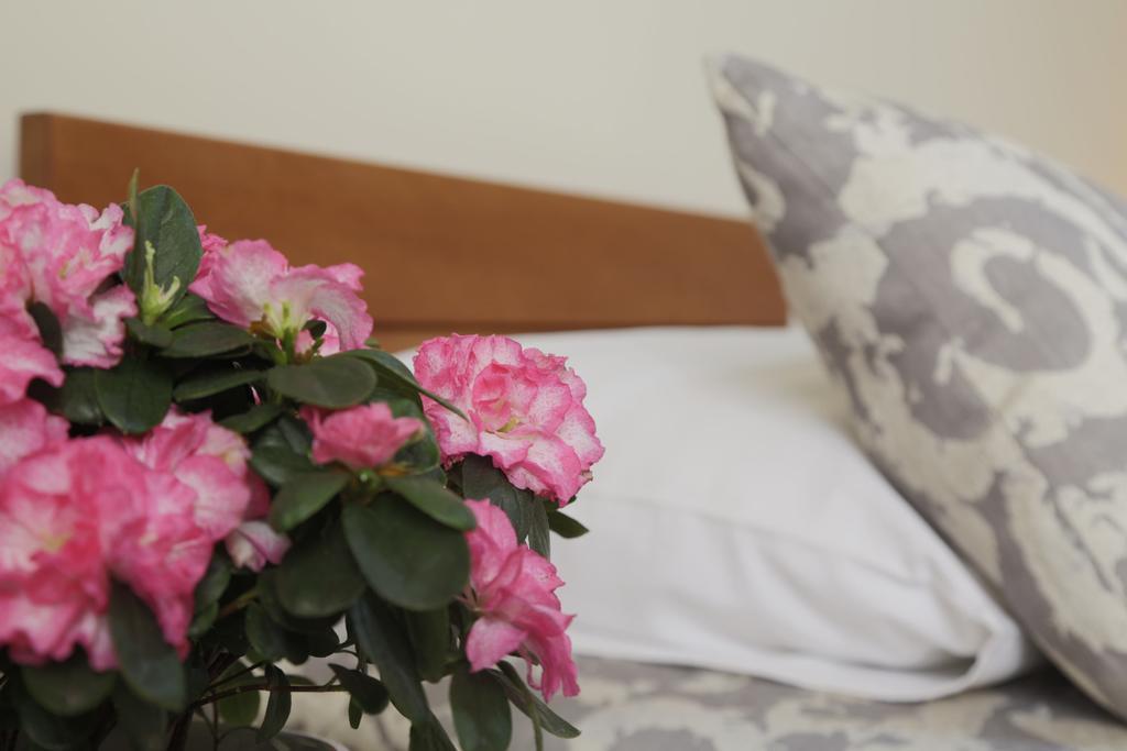 Accommodation Tara Beograd Eksteriør billede